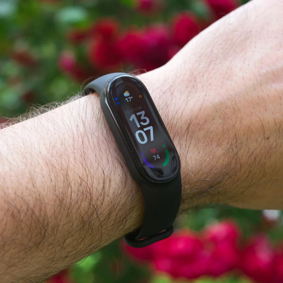 Smartband 6 WISE